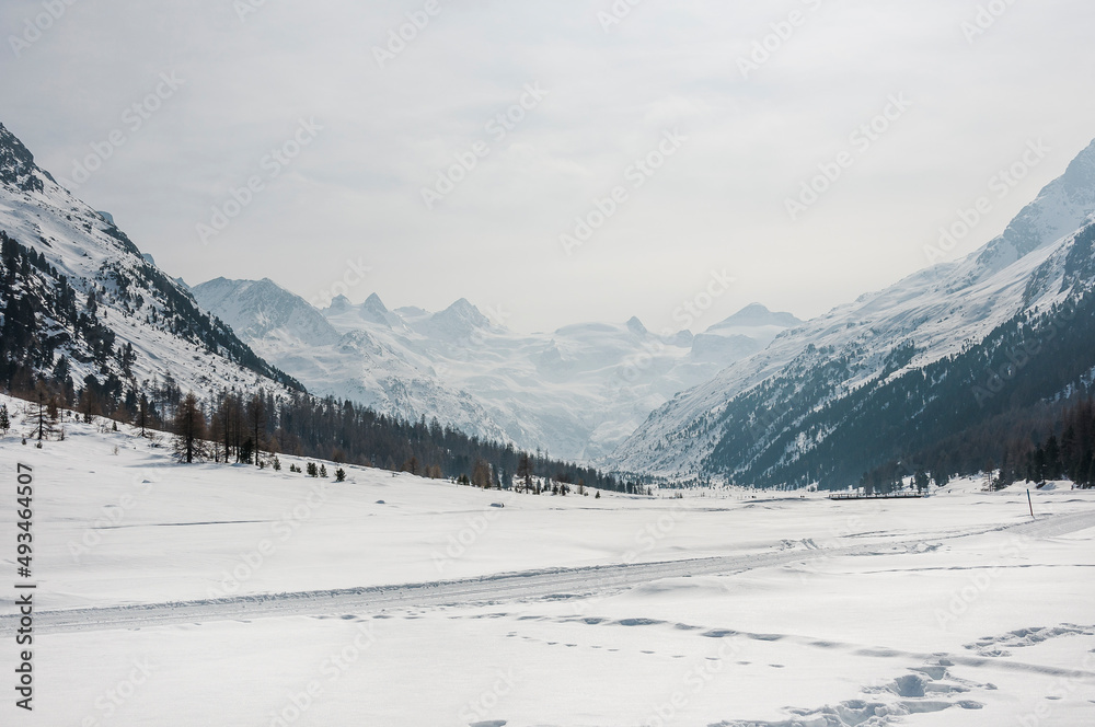 Fototapeta premium Val Roseg, Piz Roseg, Ova da Roseg, Rosegbach, Piz Sella, Piz Glüschaint, Sellagletscher, Winterwanderweg, Langlaufloipe, Berninagruppe, Oberengadin, Alpen, Winter, Wintersport, Graubünden, Schweiz 