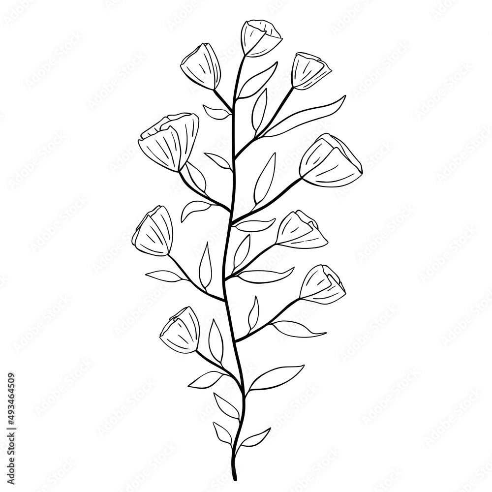 Hand drawn flower isolated on white background. Vector floral summer element. Decorative doodle sketch illustration. Hand drawn flower isolated on white background. Vector floral summer element. Decorative doodle sketch illustration.