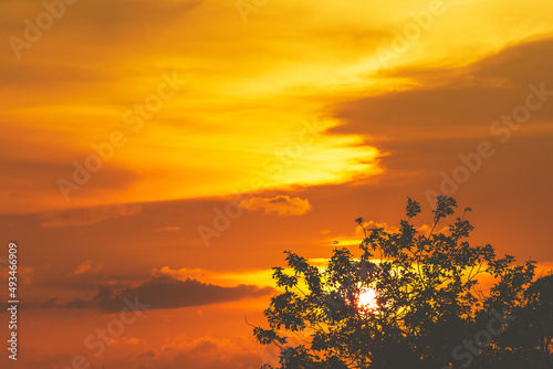 Sunset or evening time behind tree leaf with red sky.