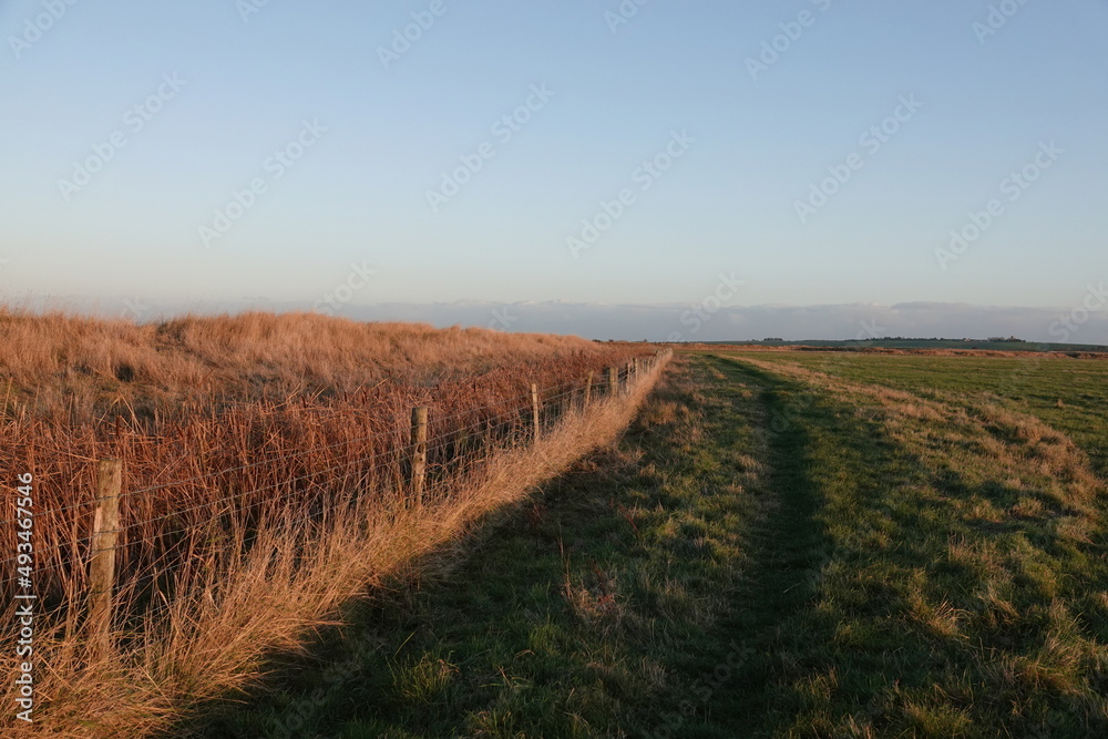 A beautiful scenic view along a rural grassy footpath by a fenced off reedbed in the late afternoon autumn sunlight. A beautiful scenic view along a rural grassy footpath by a fenced off reedbed in the late afternoon autumn sunlight.