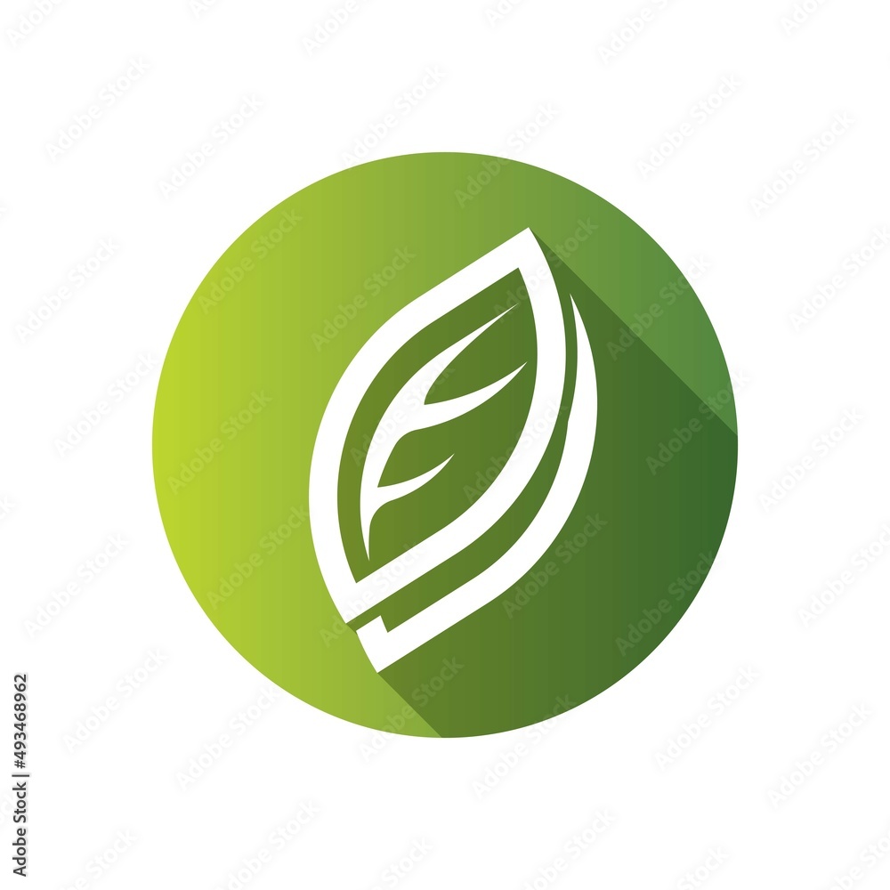 Leaf vector logo template icon design Leaf vector logo template icon design