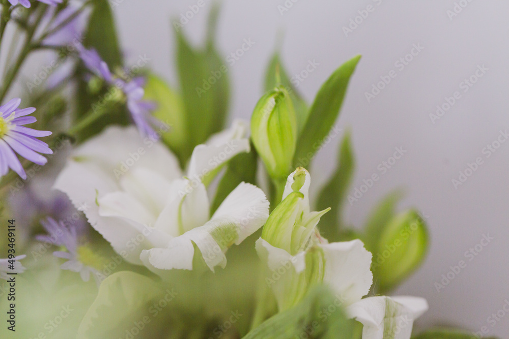 Fototapeta premium Springtime pastel colourful spring flowers and flower art