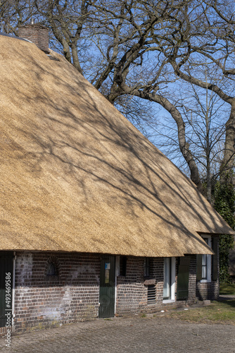 Tree branches shadows on a new reed roof of a historic Dutch farmhouse. Uffelte Drenthe Netherlands. Countrylife.