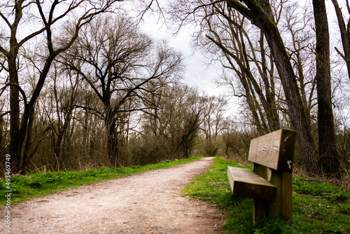 chemin avec arbres et banc