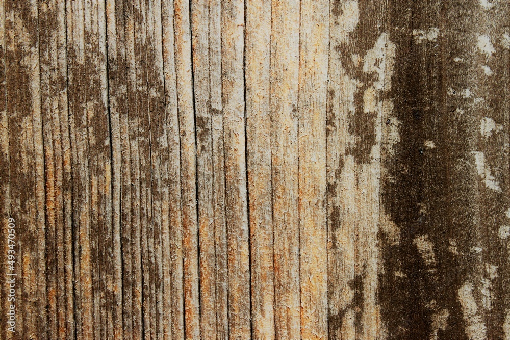 light wood with interesting grain