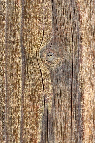 light wood with interesting grain