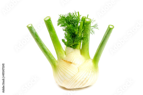 Fennel -Foeniculum vulgare- aniseed vegetable. Gastronomy and health.