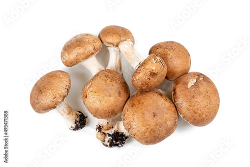 Champignon mushrooms on white background, space for text