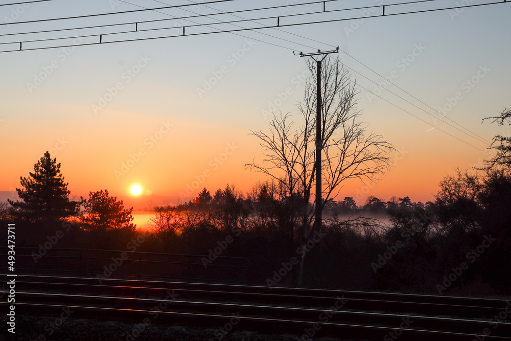 Lever du soleil à l'heure dorée, sur les rails du train, avec brume matinale sur fond de forêt.