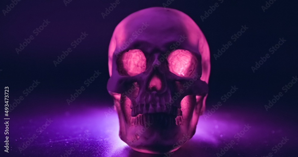 Skull with colored lighting closeup Skull with colored lighting closeup