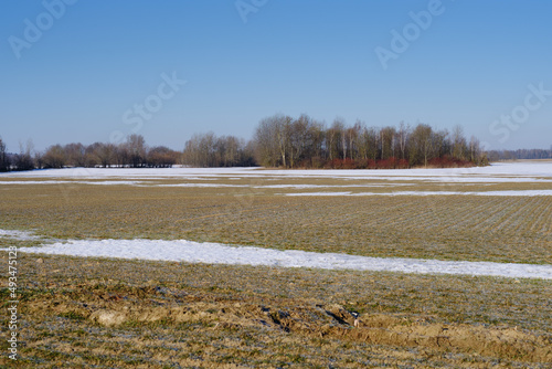 Arable field with snow remnants after winter