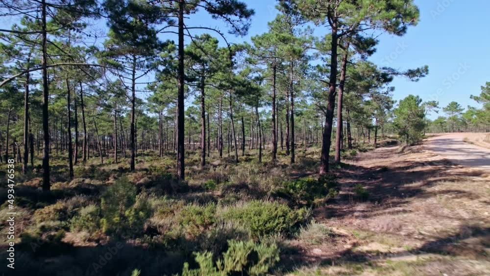 Drone flying backwards near a dirt road in a forest at Alentejo, Portugal Drone flying backwards near a dirt road in a forest at Alentejo, Portugal