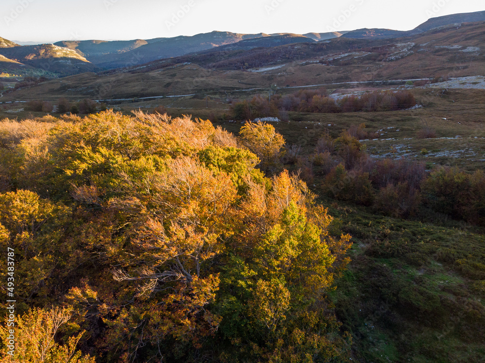 Mountains in Autumn from a Drone View