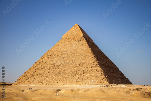 Pyramid Khafre with row of walking camels Giza  Cairo  Egypt