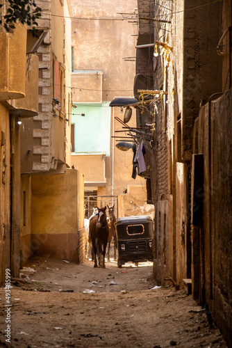 Giza street with horse and tuk tuk. Cairo  Egypt