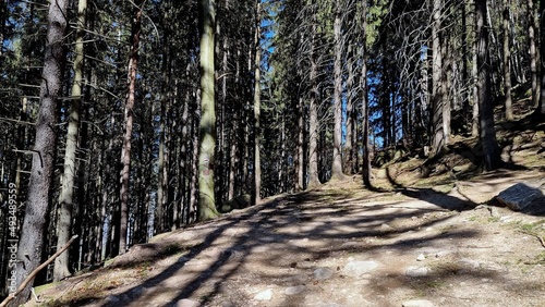 Mountain trail in Rudawy Janowickie