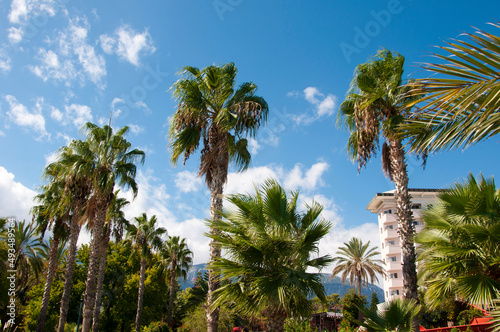 palm trees on sky background with hotel. summer vacation © altana_studio