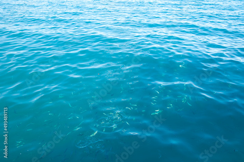 sea blue water with fish. summer vacation mediterranean. water background