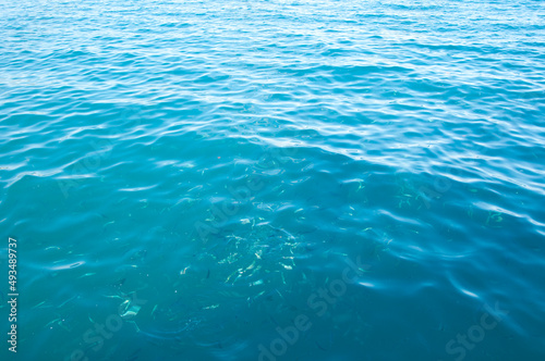 sea blue water with fish. summer vacation malibu. water background
