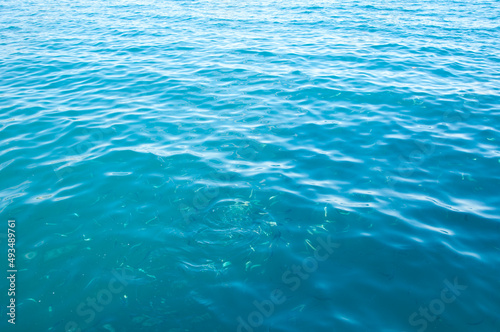sea blue wavy water with fish. summer vacation concept. water background © altana_studio