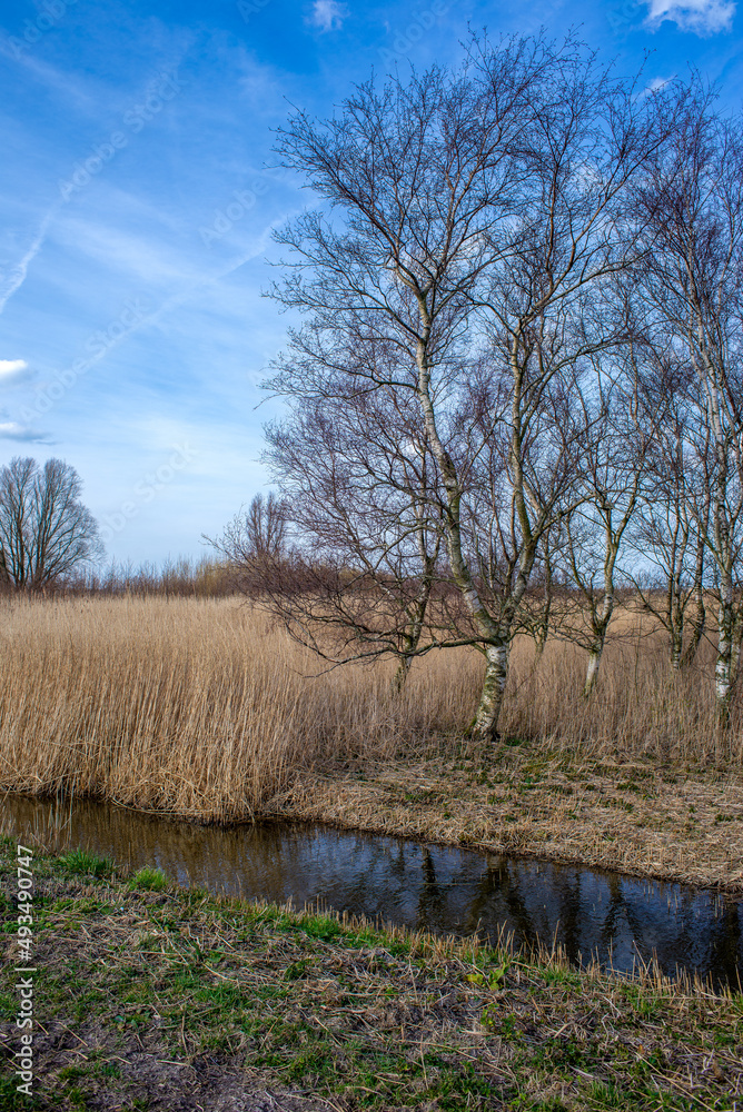 Beautiful clouds and calm water of the canal and lakes Beautiful clouds and calm water of the canal and lakes