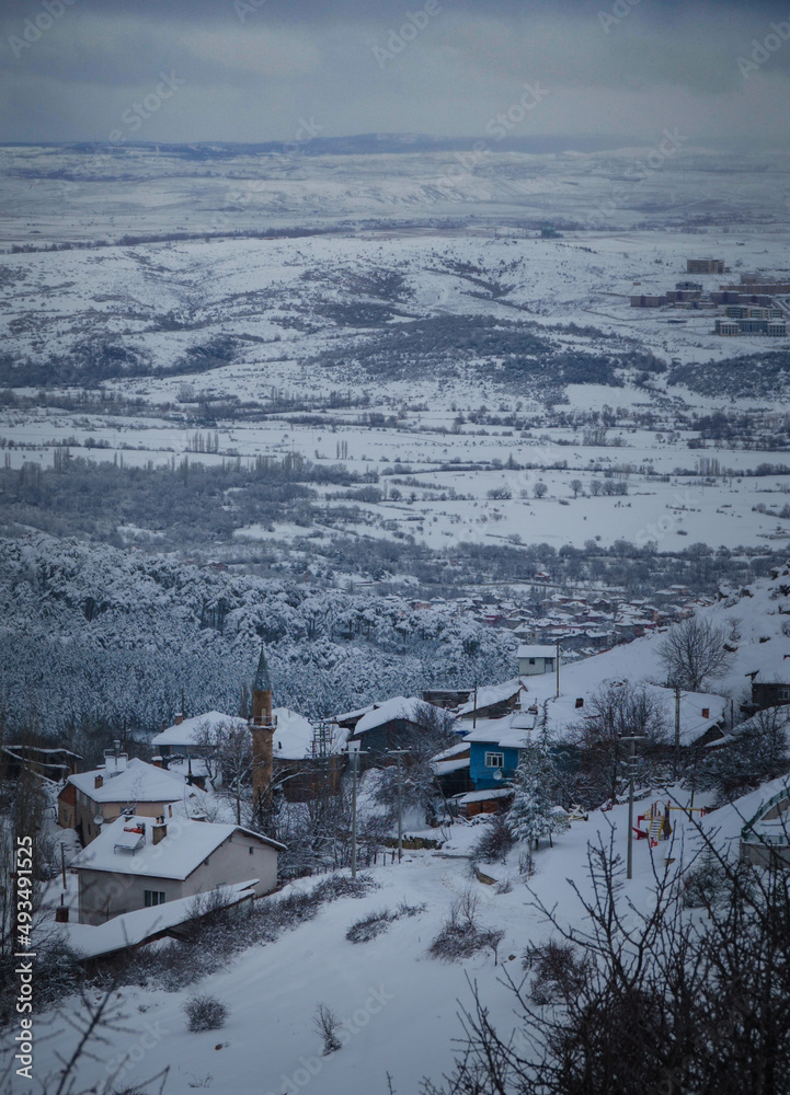 village landscape in the snow in winter