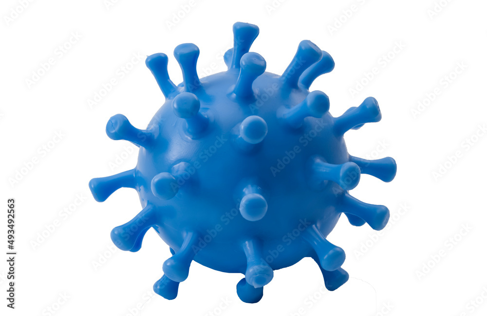 Biochemistry of the immune system, scientific research and microbiology concept with blue rubber toy replica of microscopic influenza virus isolated on white background with clipping path cutout Biochemistry of the immune system, scientific research and microbiology concept with blue rubber toy replica of microscopic influenza virus isolated on white background with clipping path cutout
