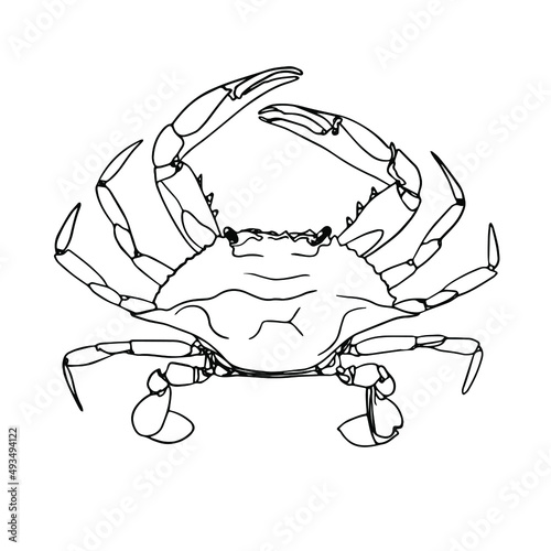Crab Doodle, a hand-drawn vector doodle of a crab with big pincers.