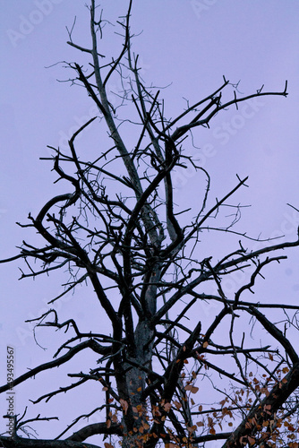 To more foto: Pexels | Danila Popov