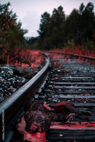 To more foto: Pexels | Danila Popov