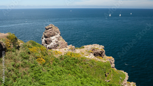 Картината върху платно Vue sur la fauconnière, Cap Fréhel, Bretagne