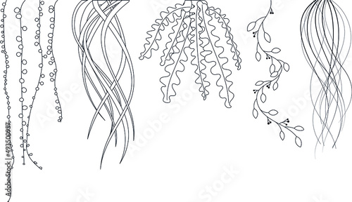 Vector branched creepers, ivy, ficuses for background decoration