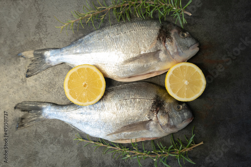 Sea bream or dorado raw fish uncooked with lemon