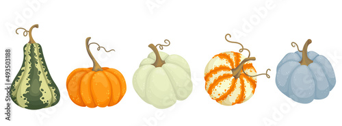 Set of autumn pumpkins.Juicy cartoon vegetables.Vector graphics.