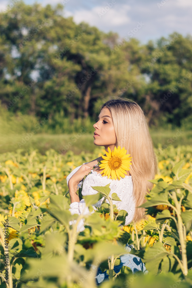 Beautiful young long-haired blonde woman in a white blouse with bare shoulders holds a sunflower in her hands on a sunflower field.Summer concept. Beautiful young long-haired blonde woman in a white blouse with bare shoulders holds a sunflower in her hands on a sunflower field.Summer concept.