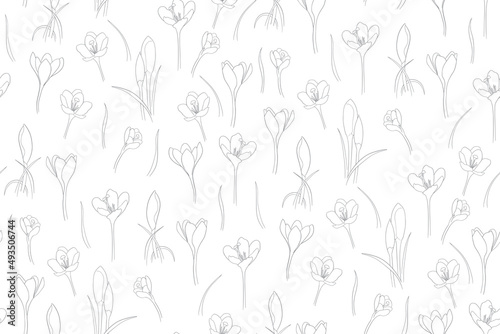 Seamless pattern of crocuses in one line