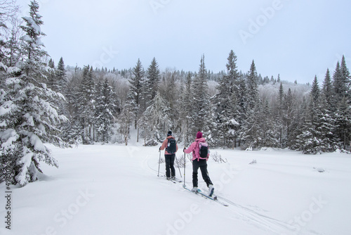 two women from back wearing pink anoraks, doing ski touring ,crossing a lake during winter