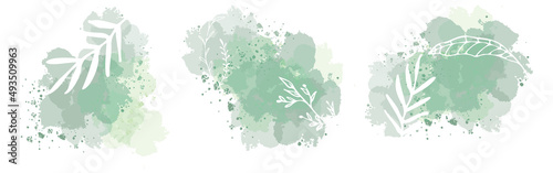 Flower branch and minimalistic plant set. Hand drawn lines, elegant leaves for your own design. Botanical, chic and trendy plants with watercolor splashes.