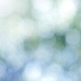 Green Mint Leaf background. Blurred leaves and circular bokeh. Abstract for design and wallpaper.