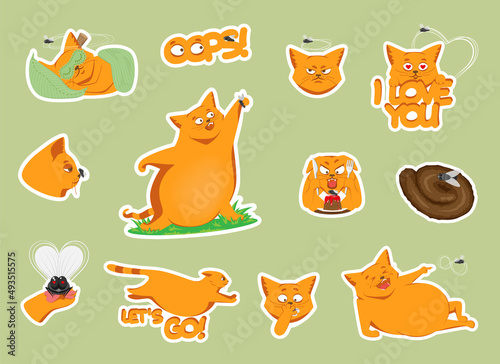 Stickers with a cat and a fly for social networks, packaging, printing, print on clothes. Funny characters, vector illustration