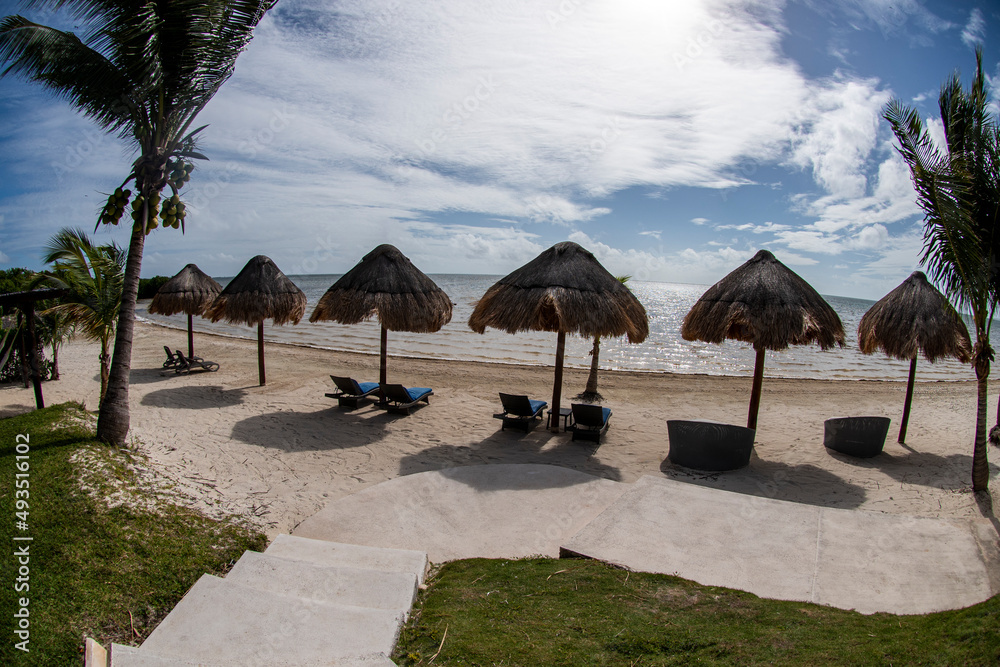 Fototapeta premium Palmeras en Cancún 
