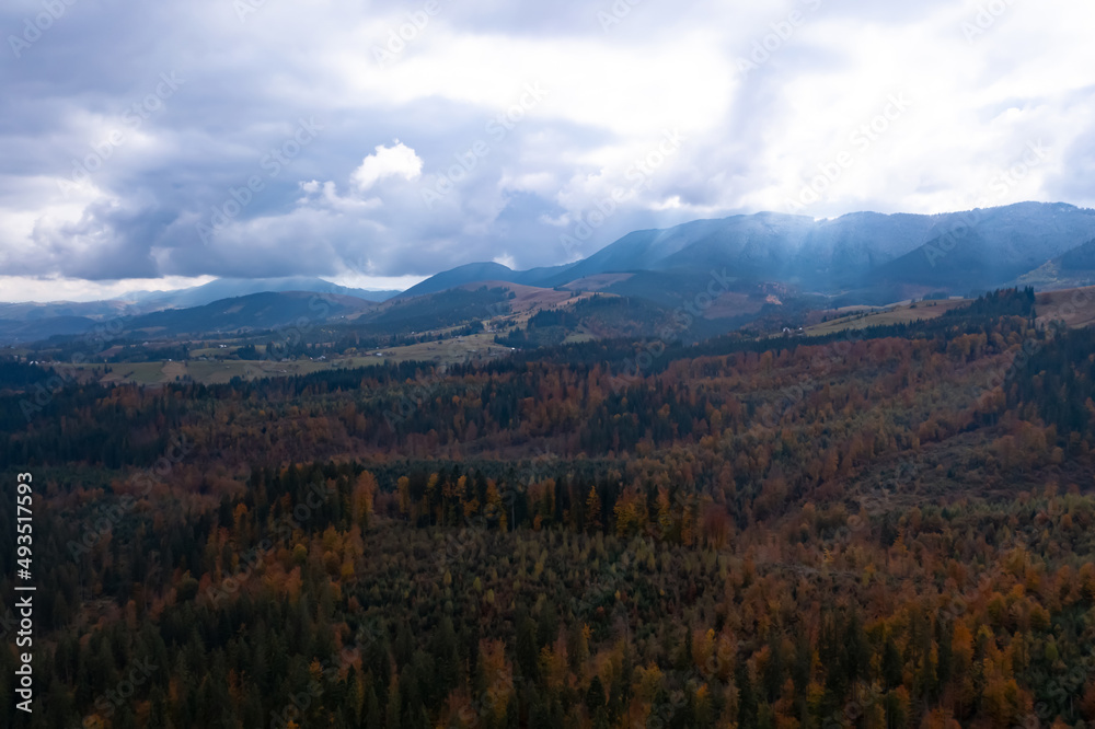 Aerial view of beautiful forest in mountains on autumn day