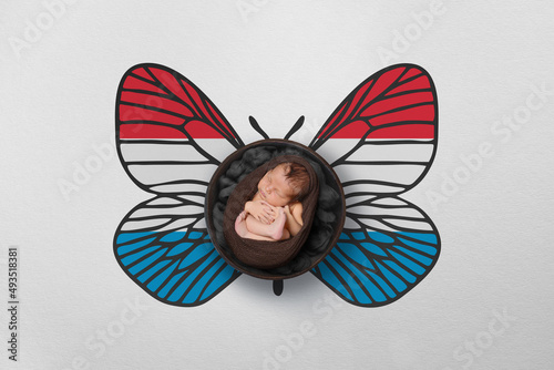Tiny baby portrait with wings in color of national flag. Newborn photography concept. Luxembourg