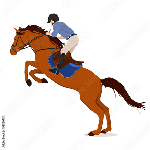 vector illustration of a rider sitting on a running and jumping horse, isolated on a white background. The theme of equestrian sports © NataSao