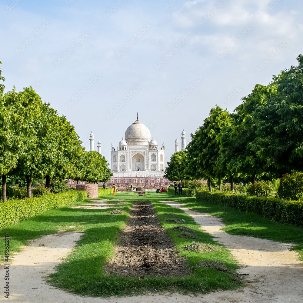 Taj Mahal one of the wonder of the world view from Mehtab Bagh garden side, Taj Mahal, Agra, Uttar Pradesh, India, sunny day view Taj Mahal one of the wonder of the world view from Mehtab Bagh garden side, Taj Mahal, Agra, Uttar Pradesh, India, sunny day view
