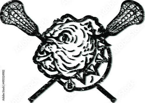 distressed bulldog mascot head with crossed lacrosse sticks for school, college or league