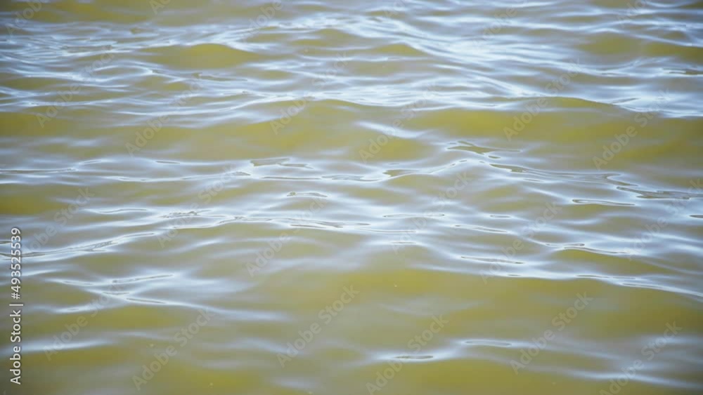 Lake water closeup on a sunny day in slow motion Lake water closeup on a sunny day in slow motion