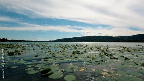 Spring Landscape on Lake Comabbio - 5K photo