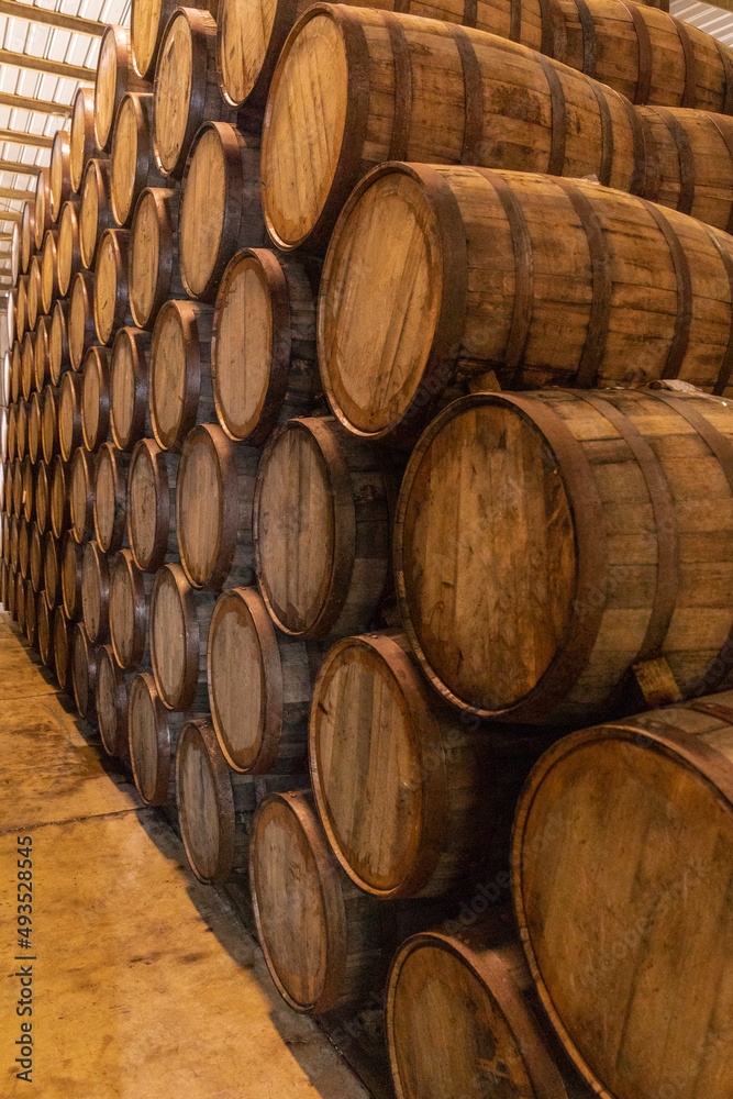 Wine barrels on old cellar