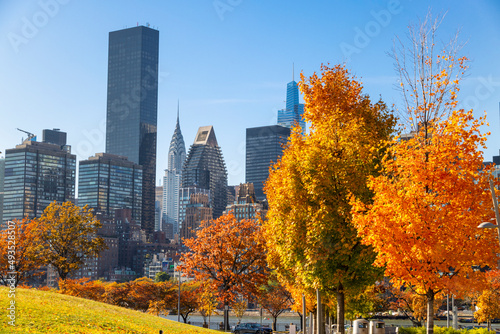 Autumn leaf color trees glow at City View Point in Southpoint Park Roosevelt Island on November 2021 in New York City. Midtown Manhattan skyscraper stands beyond the East Rive. © STUDIO BONOBO